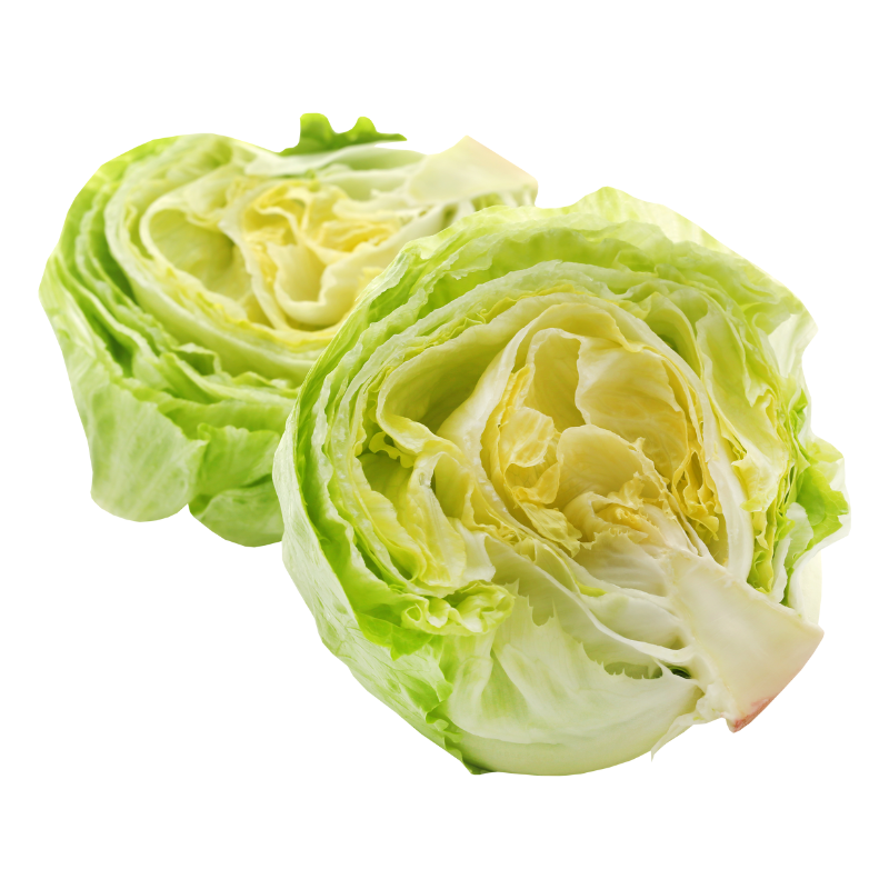 LECHUGA ICEBERG