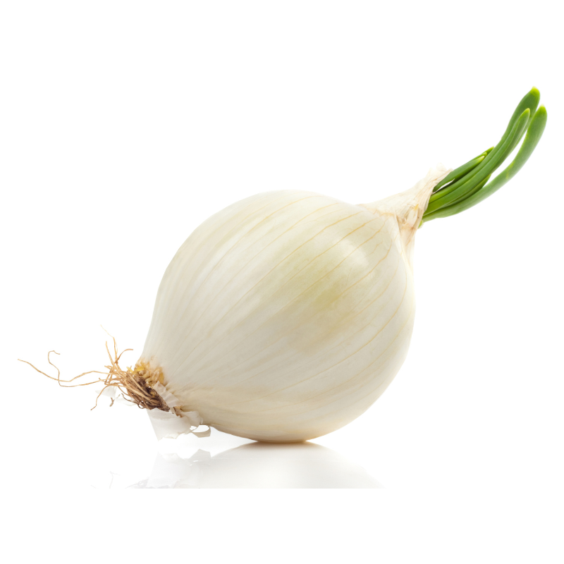 CEBOLLA TIERNA BLANCA