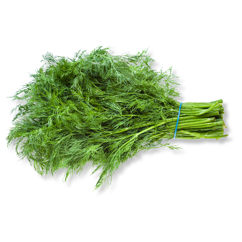 DILL BUNCH