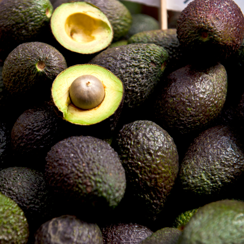 AGUACATE - Imagen 2