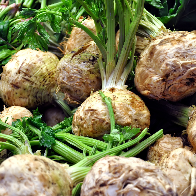 APIO NABO - Imagen 2