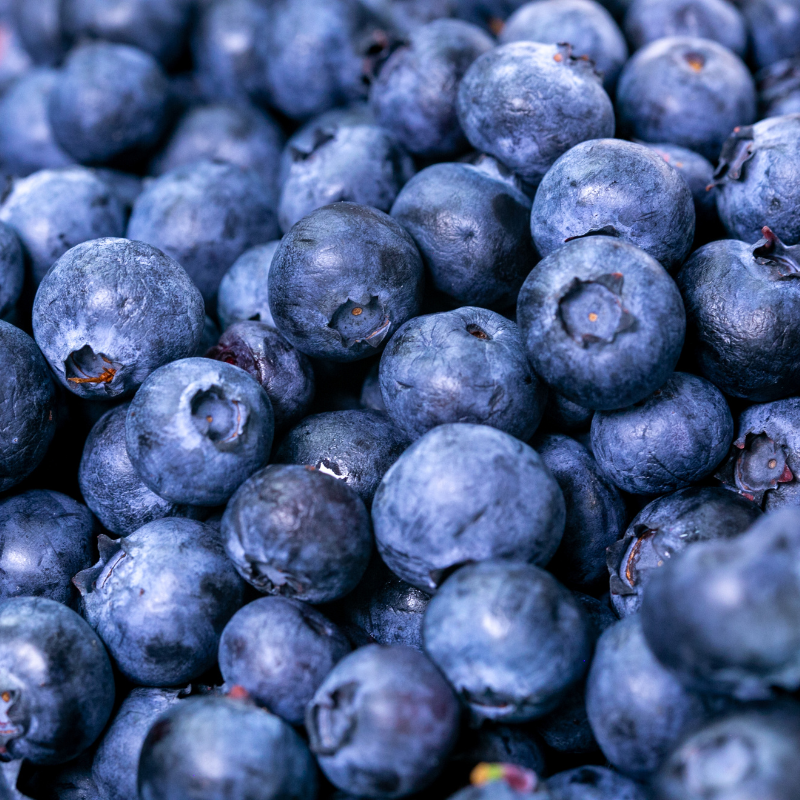 ARÁNDANO - Imagen 2