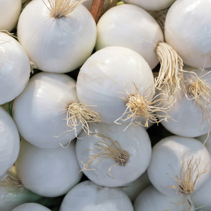 CEBOLLA TIERNA BLANCA - Imagen 2