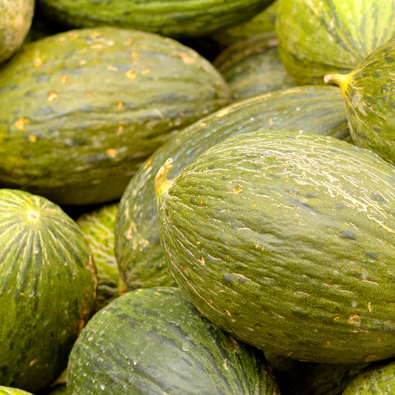 MELÓN - Imagen 2