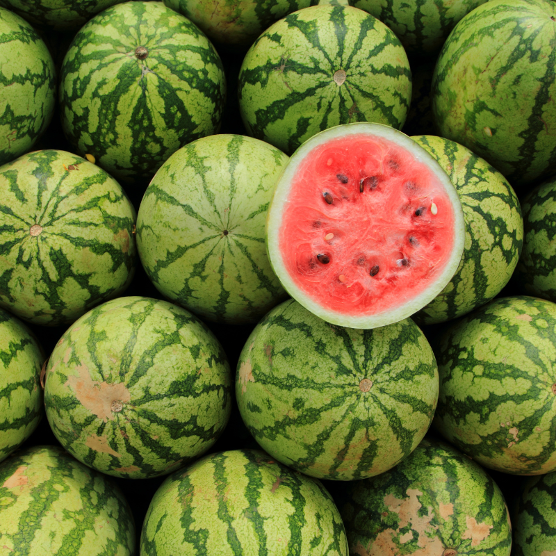 WATERMELON - Image 2