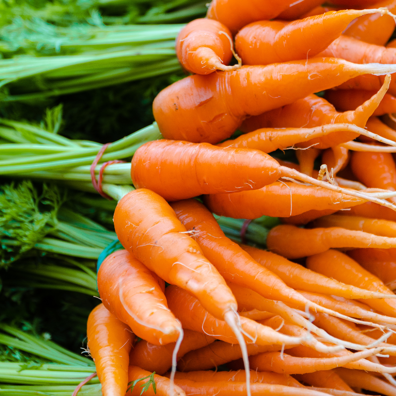 CARROT BUNCH - Image 2