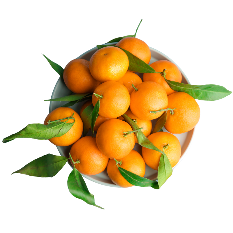 MANDARINA - Imagen 2