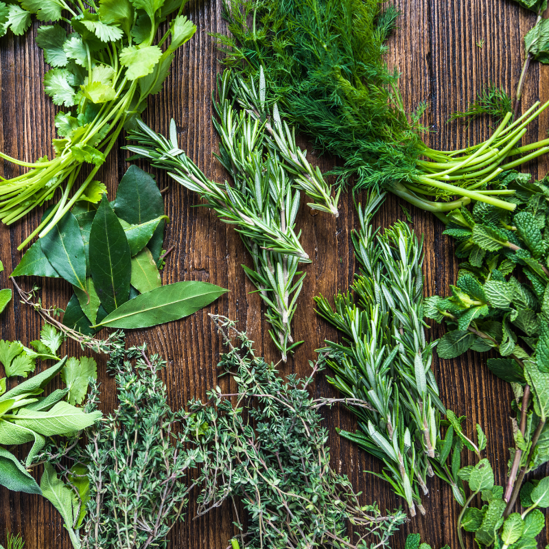 AROMATIC HERBS