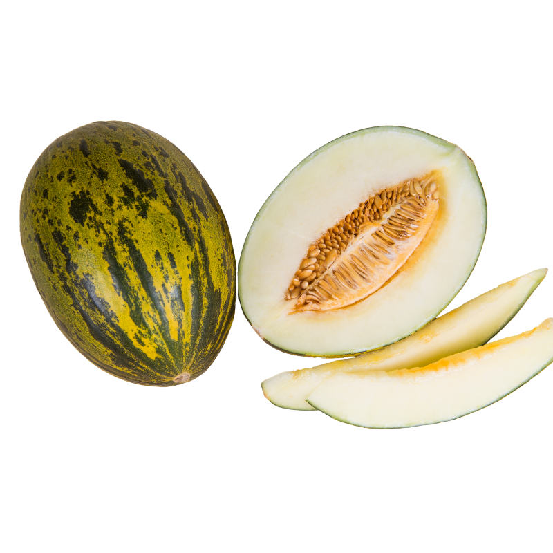 MELÓN