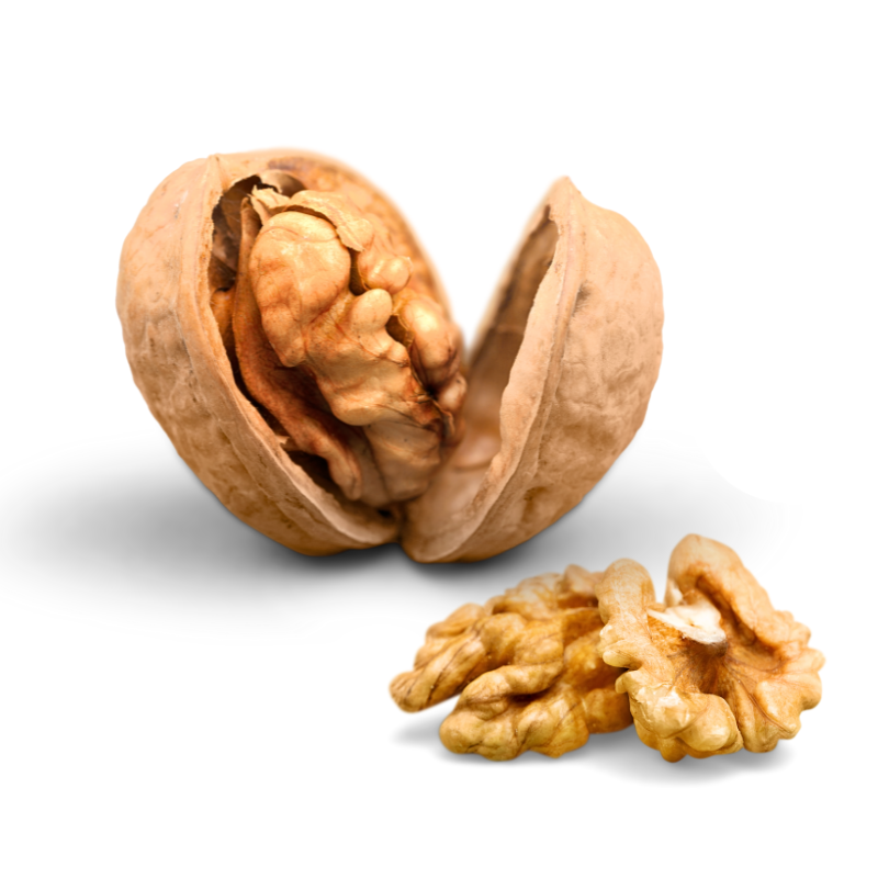 FRANQUETTE WALNUT