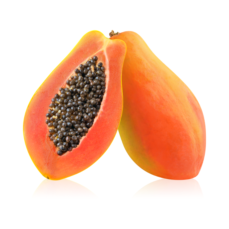 CANARY PAPAYA