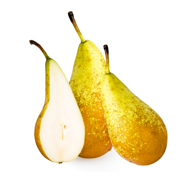 CONFERENCE PEAR