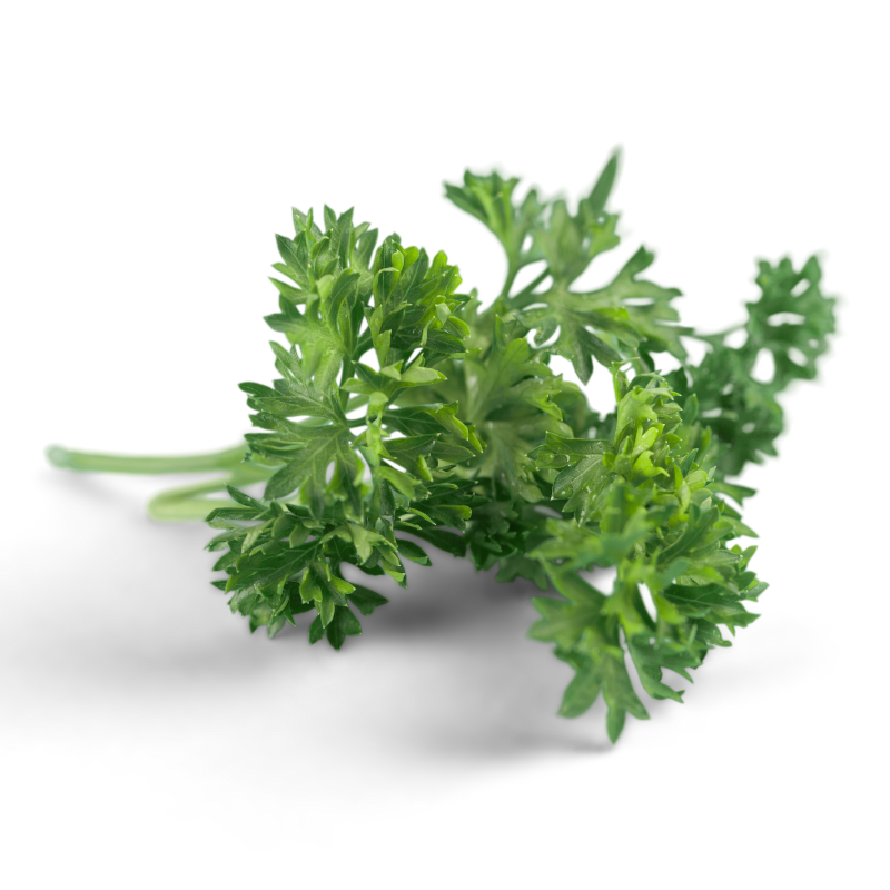 PARSLEY