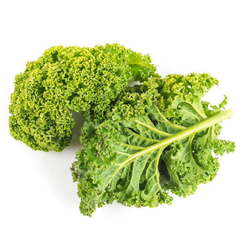 REPOLLO RIZADO - Imagen 2