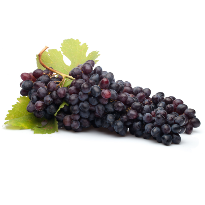 ADORA SEEDLESS GRAPE