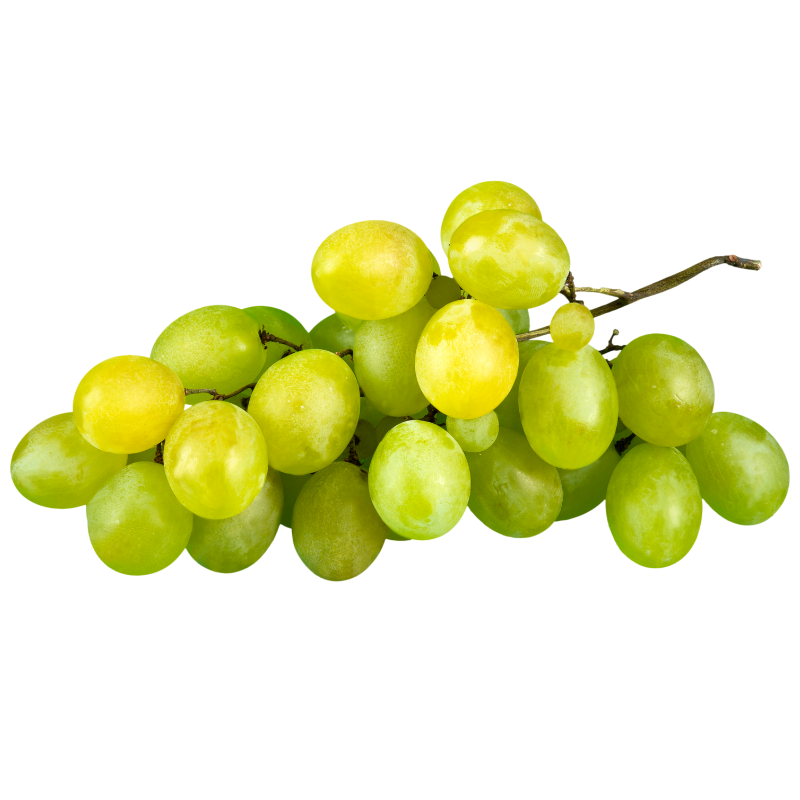AUTUMN CRISP GRAPE