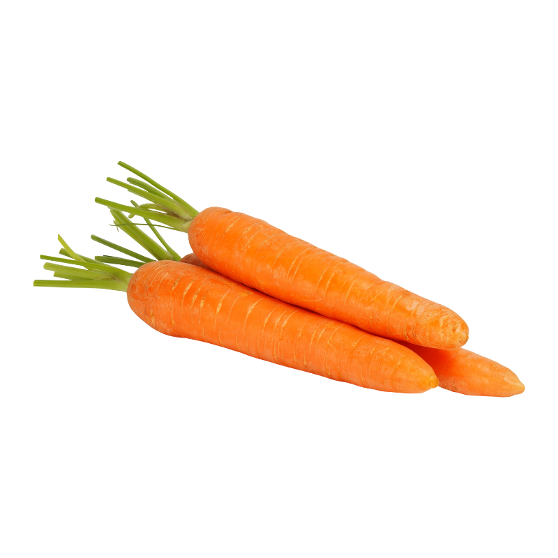CARDBOARD CARROT